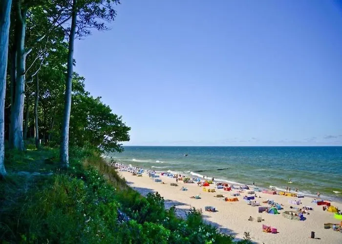 Comfortable No 4 , Summer Pool