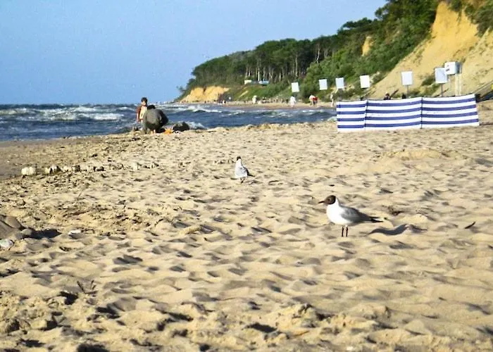 Comfortable No 4 , Summer Pool *