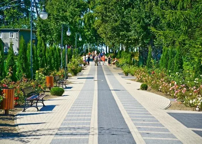 Comfortable No 4 , Summer Pool レバル