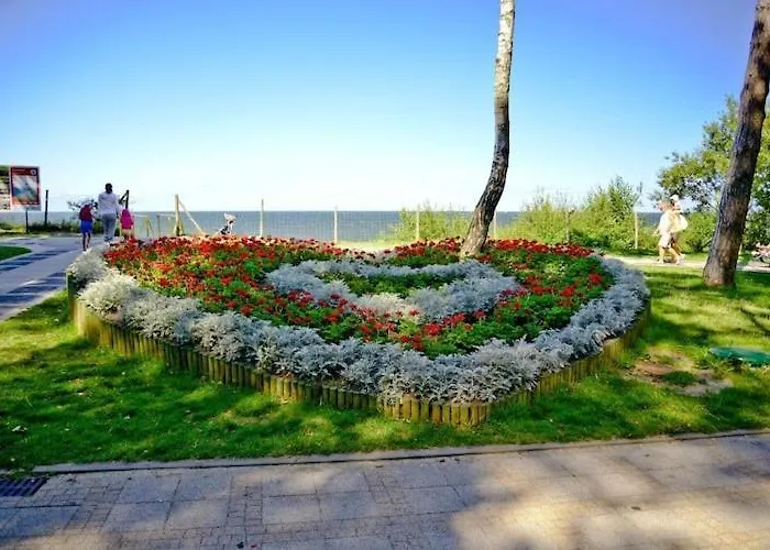 Comfortable No 4 , Summer Pool *